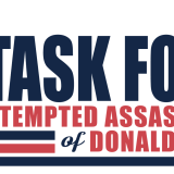 task force logo (new)